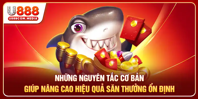 Những nguyên tắc cơ bản giúp nâng cao hiệu quả săn thưởng ổn định